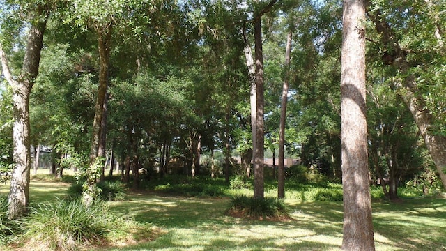 Listing photo 2 for 818 Torchwood Dr Lot 7, Deland FL 32724