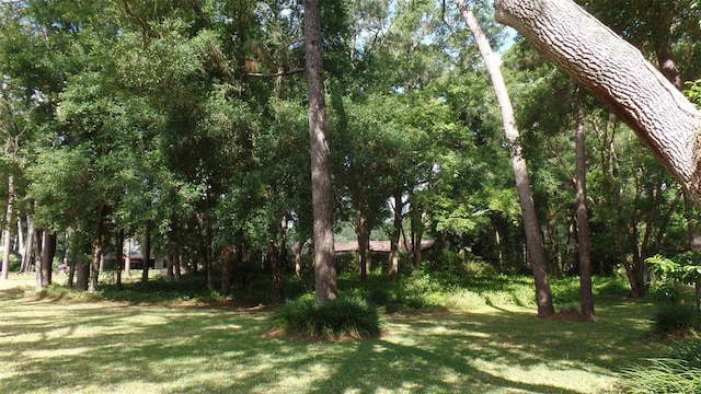 Listing photo 3 for 818 Torchwood Dr Lot 7, Deland FL 32724