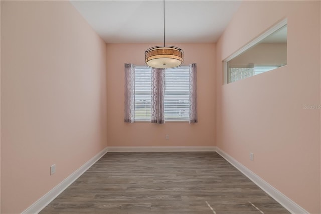 unfurnished dining area with wood-type flooring