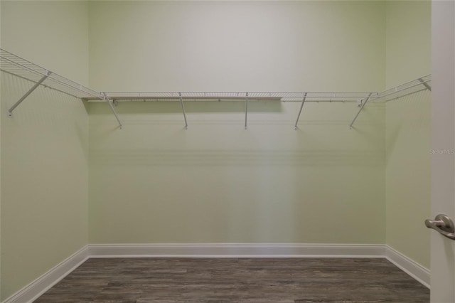 walk in closet with dark hardwood / wood-style floors