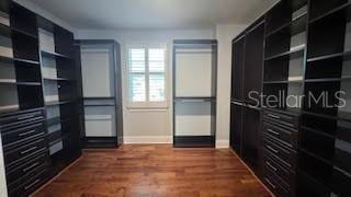 walk in closet featuring dark hardwood / wood-style floors