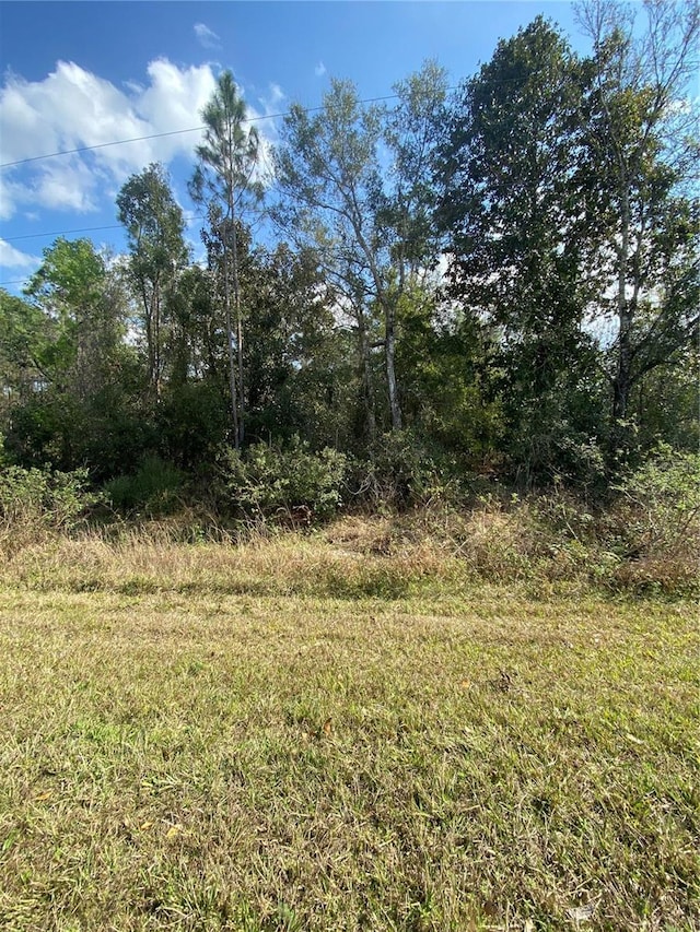 Listing photo 3 for E International Speedway Blvd, Deland FL 32724