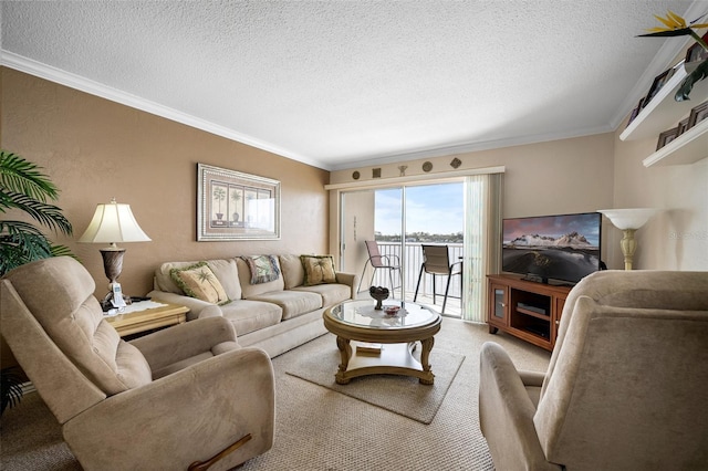 living room featuring ornamental molding, carpet flooring, and a textured ceiling