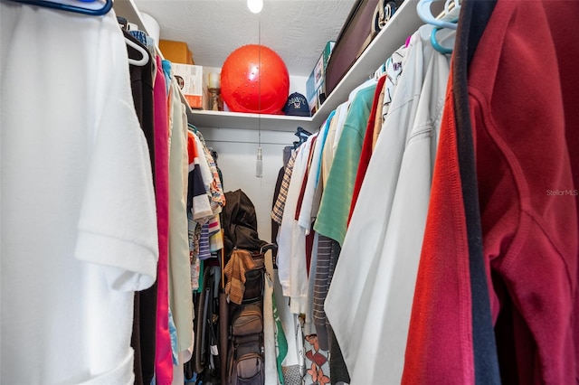 view of spacious closet