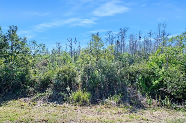 view of local wilderness