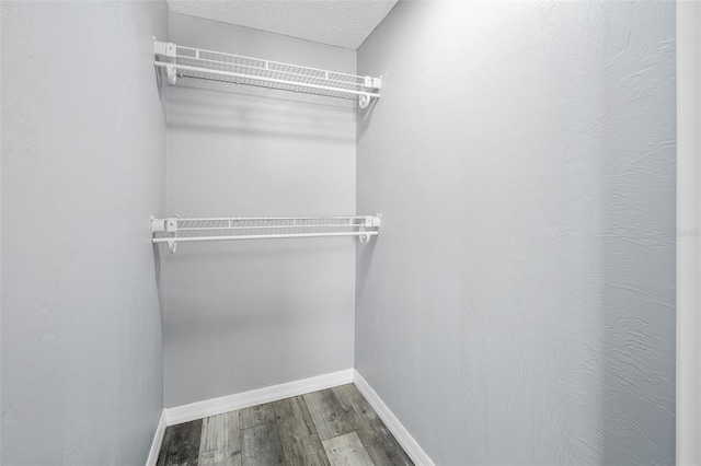 spacious closet featuring wood finished floors