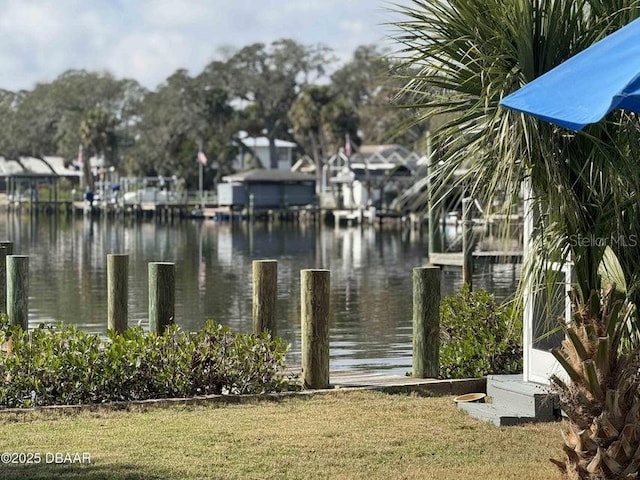 water view featuring a boat dock