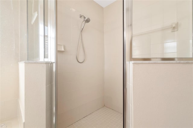 bathroom featuring a shower with shower door