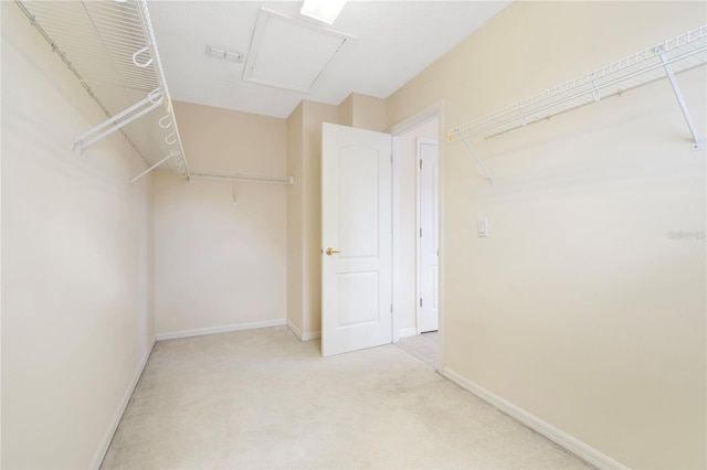 spacious closet featuring light colored carpet