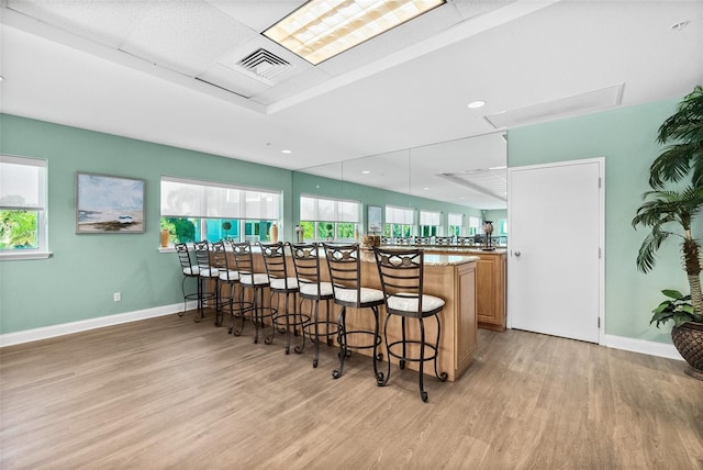 bar with decorative light fixtures, plenty of natural light, and light hardwood / wood-style floors