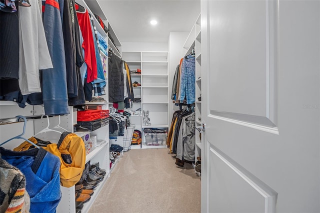 spacious closet featuring light carpet