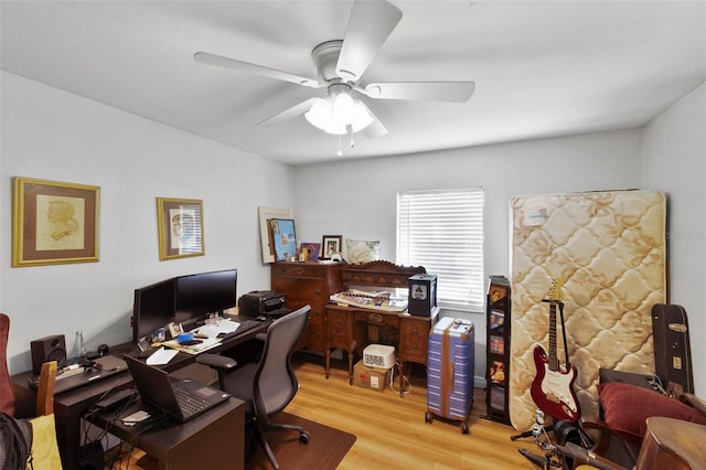 home office with ceiling fan and light hardwood / wood-style floors