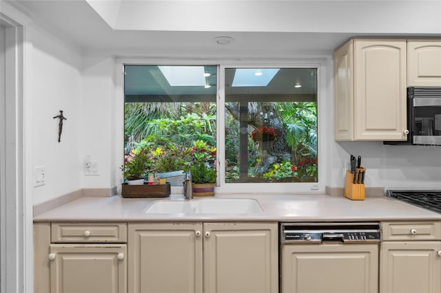 kitchen with dishwasher, sink, and a wealth of natural light