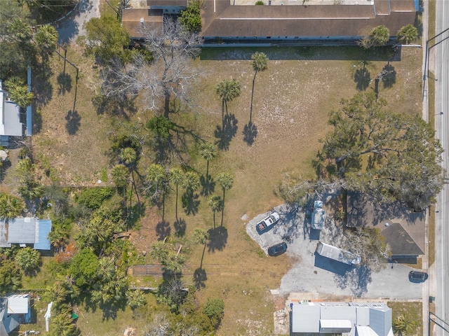 629 N Ridgewood Ave, Daytona Beach, FL 32114