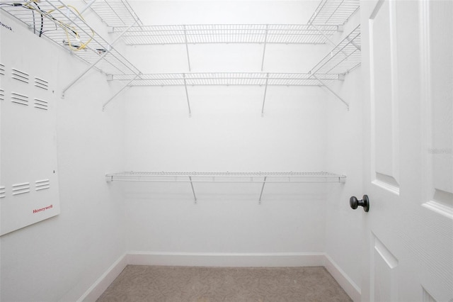 walk in closet featuring light colored carpet