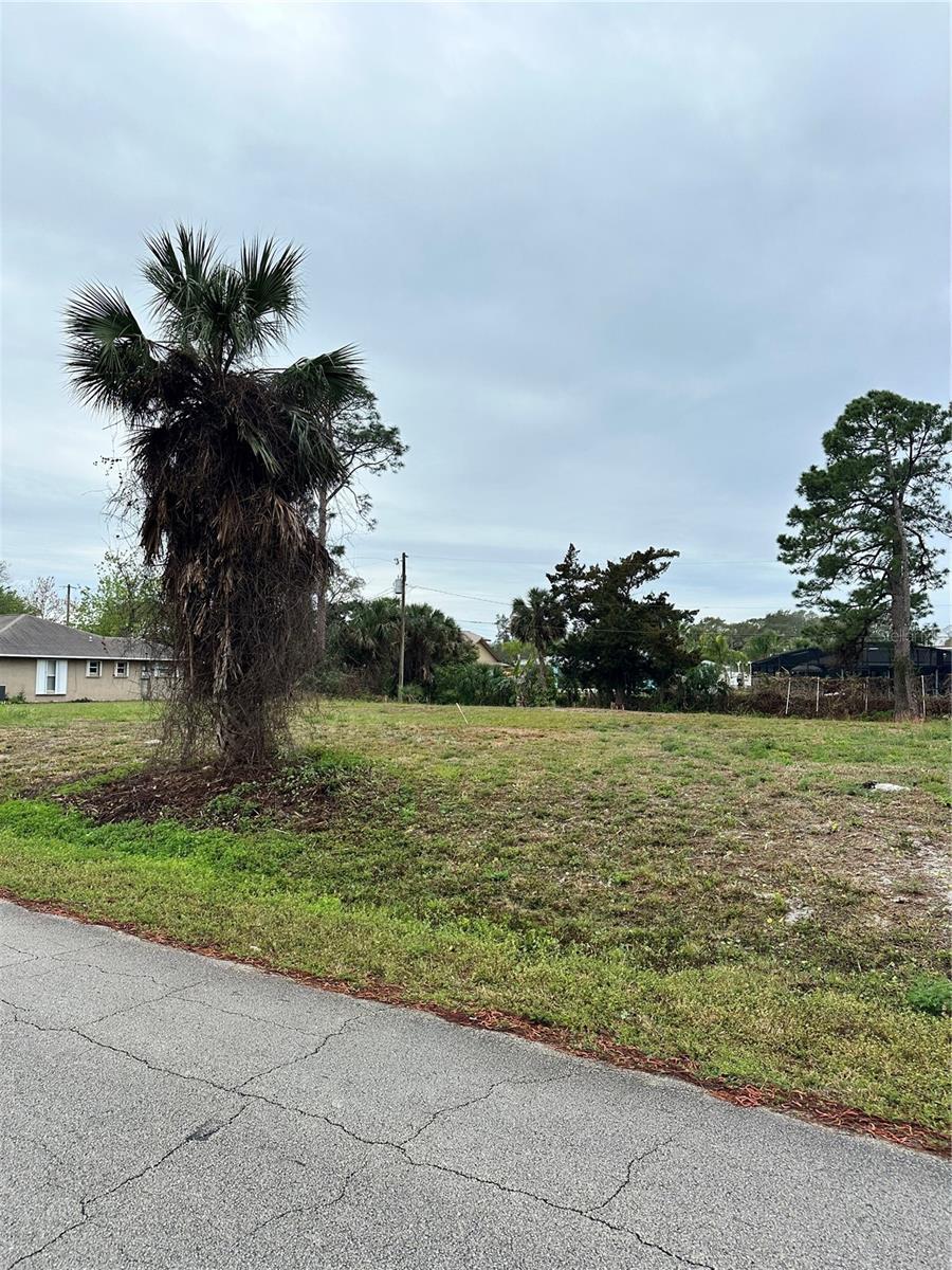 3128 India Palm Dr, Edgewater, FL 32141