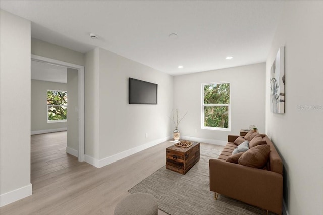 living room with light hardwood / wood-style flooring