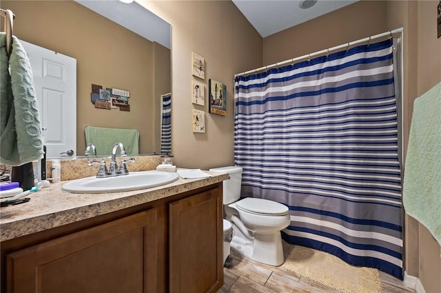 bathroom featuring vanity, toilet, curtained shower, and wood-type flooring