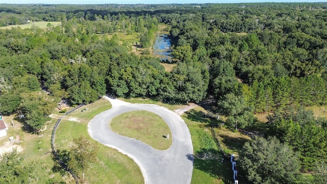 Tree Frog Ln, Eustis FL, 32736 land for sale