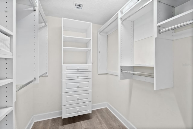 spacious closet featuring wood-type flooring