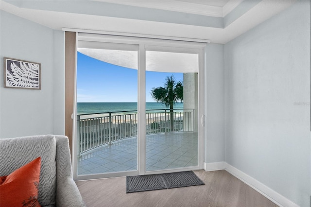 entryway featuring a water view, a beach view, and light hardwood / wood-style flooring