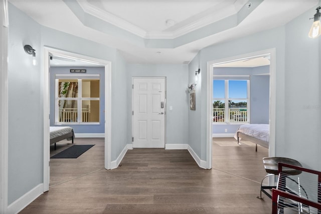 entrance foyer featuring crown molding, wood-type flooring, and a tray ceiling