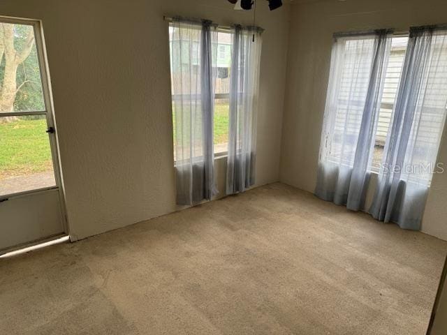 carpeted spare room with ceiling fan