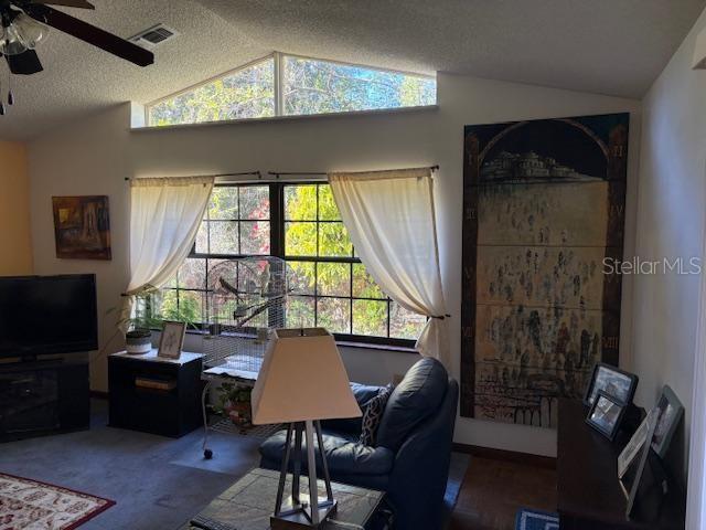 office featuring ceiling fan, lofted ceiling, and a textured ceiling