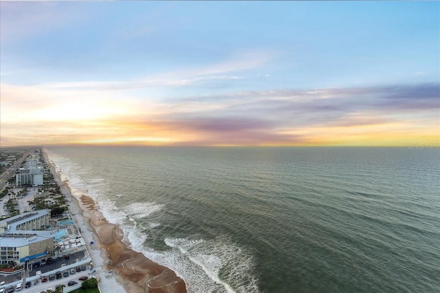 water view featuring a beach view