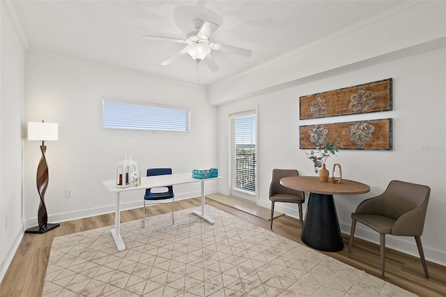 office space with crown molding, light hardwood / wood-style floors, and ceiling fan