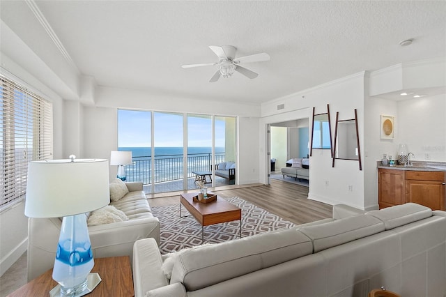 living room with a water view, a healthy amount of sunlight, wood-type flooring, and sink