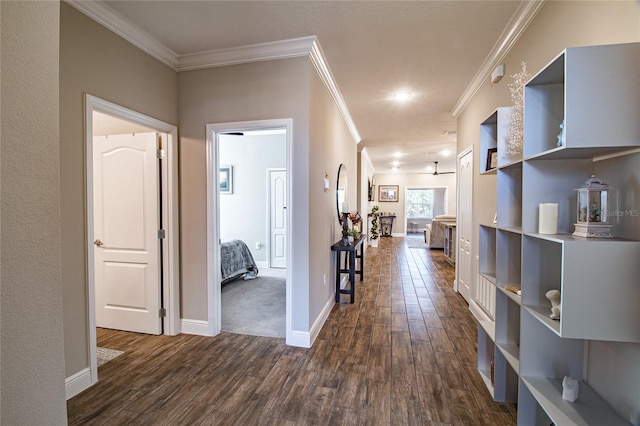 hallway featuring crown molding and dark hardwood / wood-style flooring