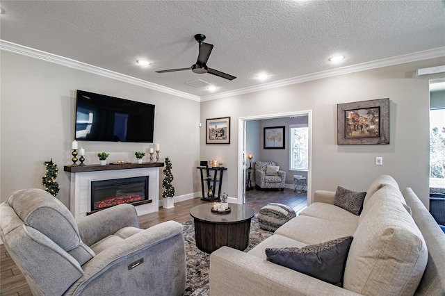 living room with ceiling fan, a textured ceiling, dark hardwood / wood-style flooring, and ornamental molding