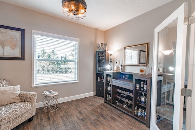 interior space featuring dark hardwood / wood-style flooring and bar