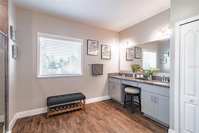 bathroom with wood-type flooring and vanity