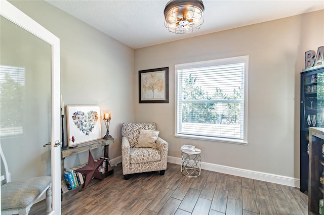 living area featuring dark wood-type flooring