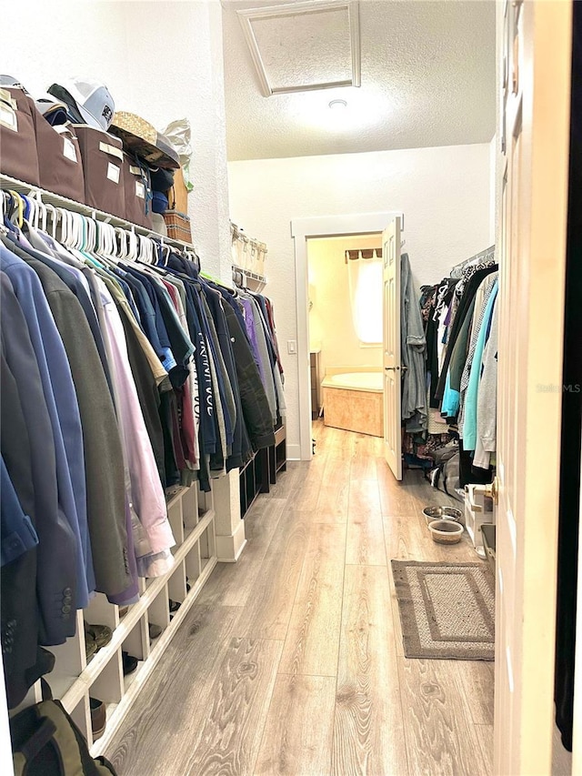 spacious closet featuring hardwood / wood-style floors and attic access