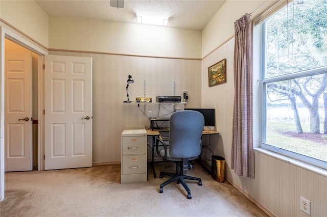 office area featuring a textured ceiling and light colored carpet
