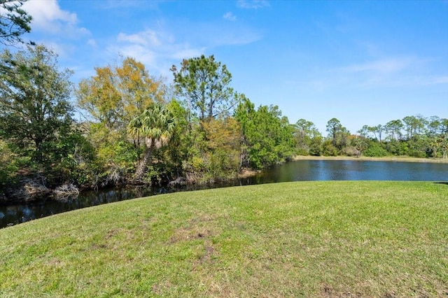 view of yard with a water view and a view of trees