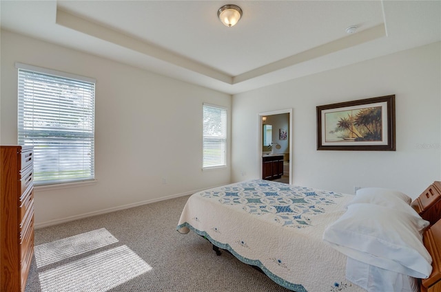 carpeted bedroom with multiple windows and a tray ceiling