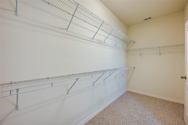 spacious closet featuring carpet flooring