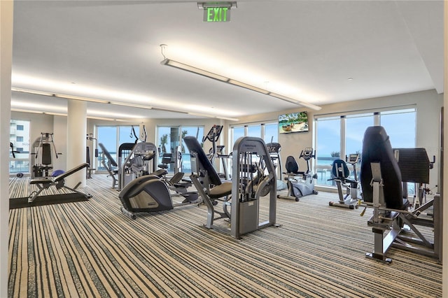 exercise room featuring carpet