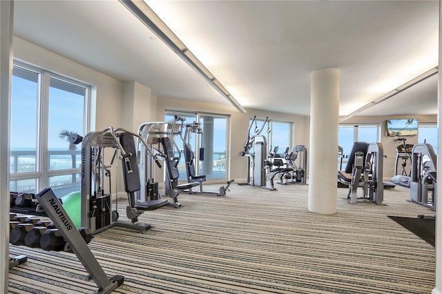 workout area with carpet floors