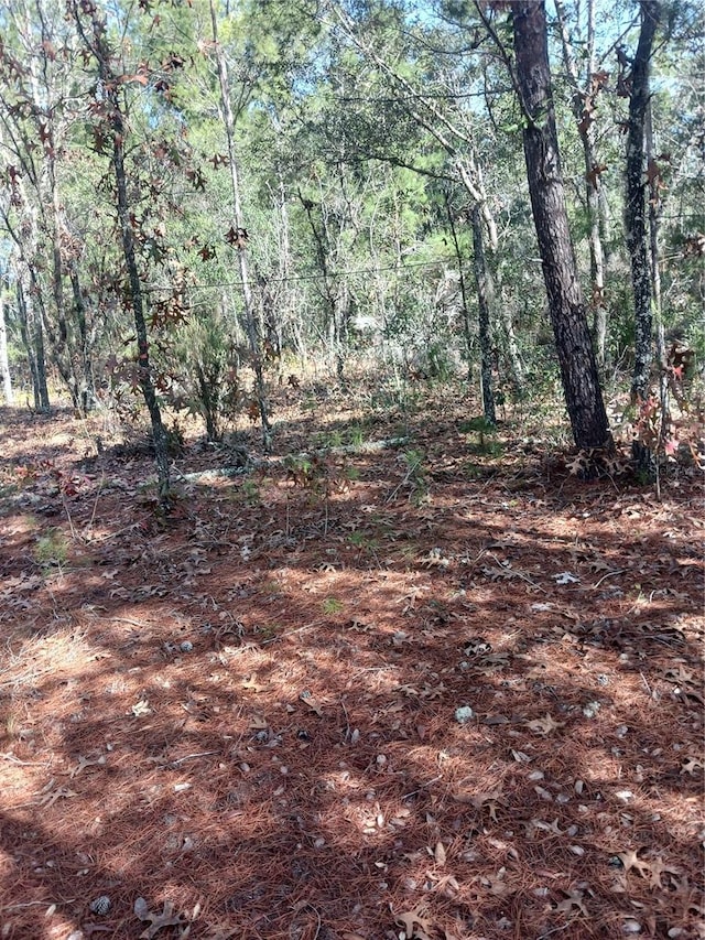 LOT11 Lake Lucy Cir, Interlachen FL, 32148 land for sale