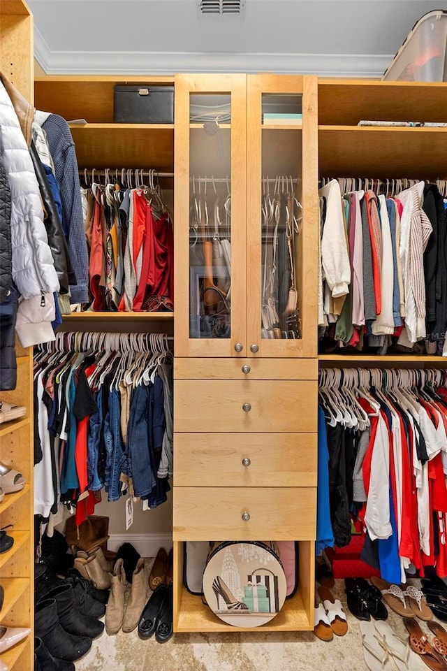 view of closet