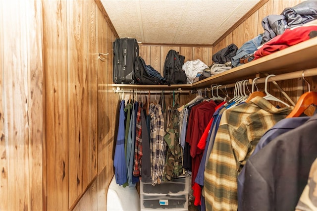 view of walk in closet