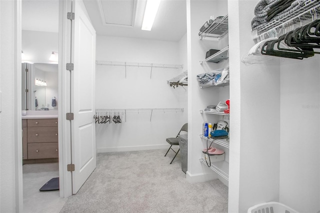 walk in closet featuring attic access and light colored carpet