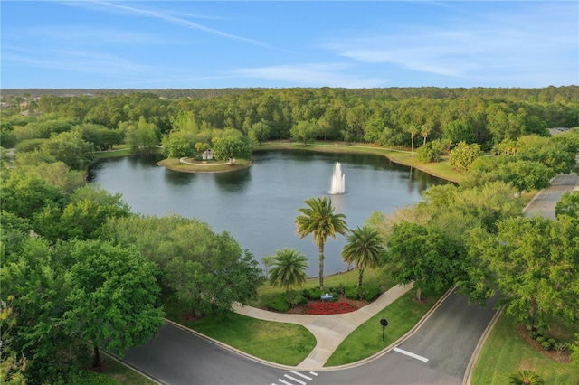 aerial view featuring a water view and a forest view