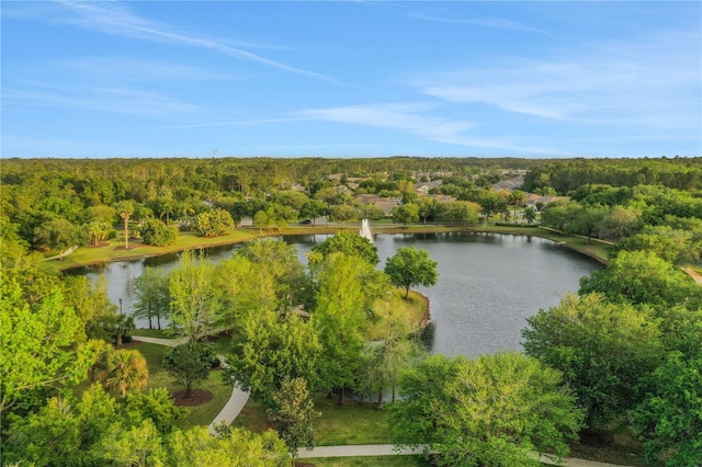 birds eye view of property with a water view and a view of trees