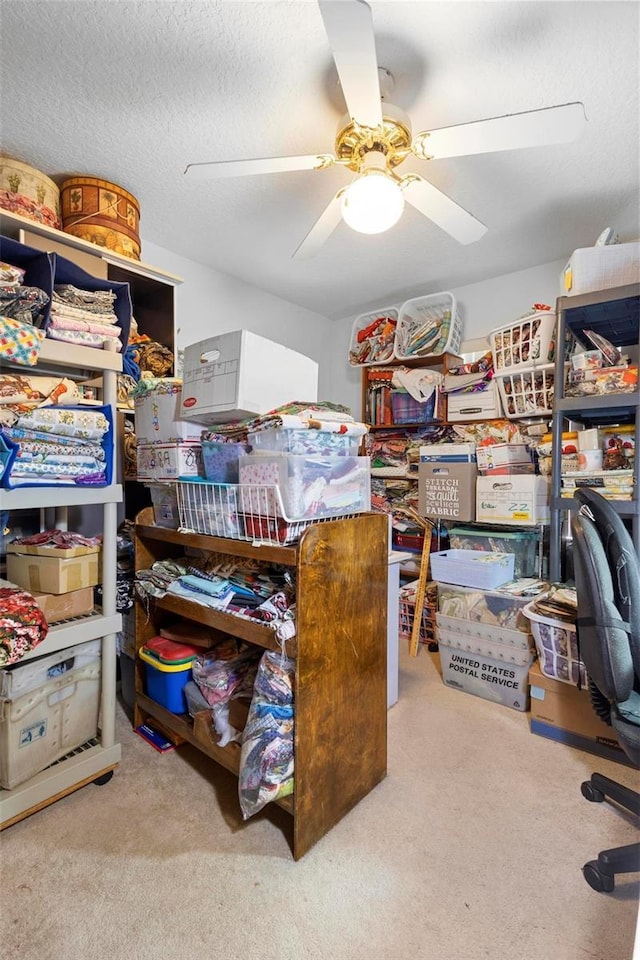 storage room with ceiling fan